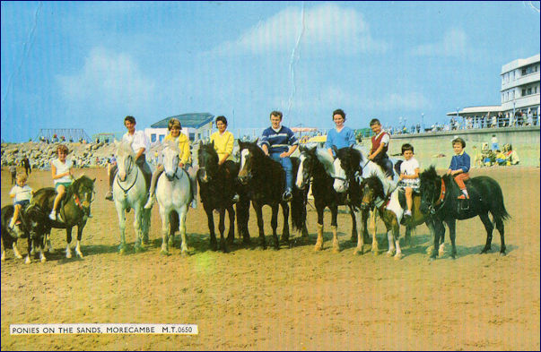 Ponies on the Sands